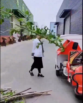 Memproses mesin penarik kayu