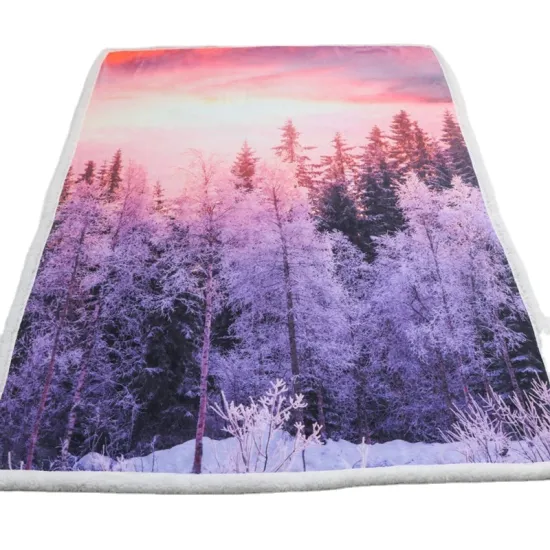 Wholesale Double Thick scenery picture Bedding Digital Printed Plush Sherpa Soft Warm Fleece Blankets