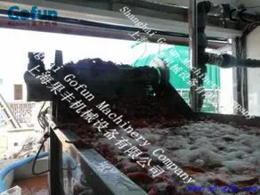 fresh fruit /vegetable washing machine for sale