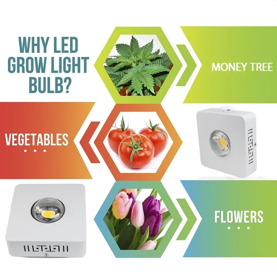 High Power Full spectrum Cob 100W 300W 600W Light Plant Hydroponic Led Grow Lamps