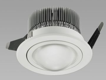 15w White Dimmable Led Downlight With 60° Lens For Project Lighting Cp-11036db In White