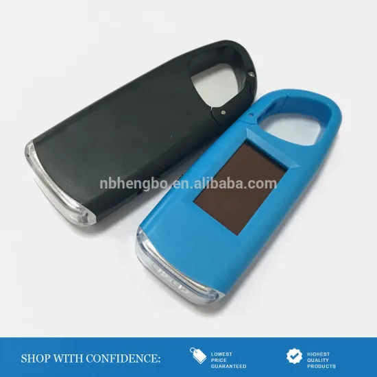 rechargeable 2 led gifts solar lights key chains