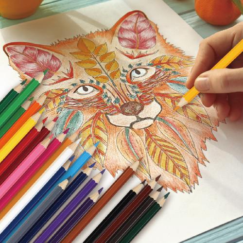 crayons à aquarelle personnalisés 24 couleurs à l&#39;école