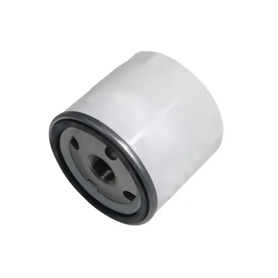 Professional Oil Filter Supplier - 1883037