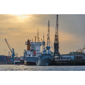 Riparazioni e manutenzione di navi per carichi pesanti con esperienza