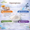 Asparaginase Enzyme for Acrylamide Reduction