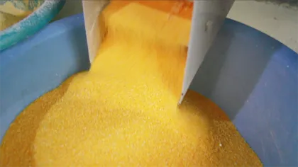 small scale industries corn maize grits and flour making machines