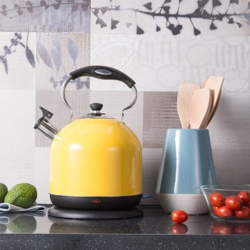 Elegant look Tea pot