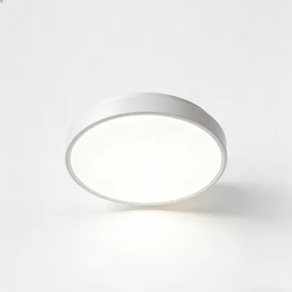 LED ceiling light for interior harmony