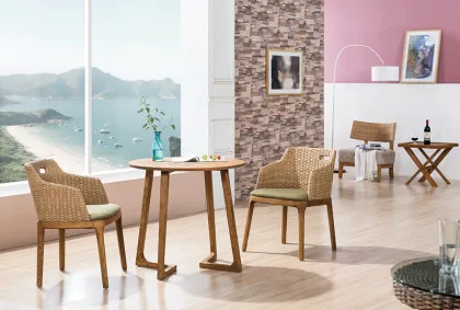 Leisure Wooden Living room rattan chair