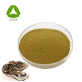 100% Pure Natural Oyster Shell Extract 10:1 Powder