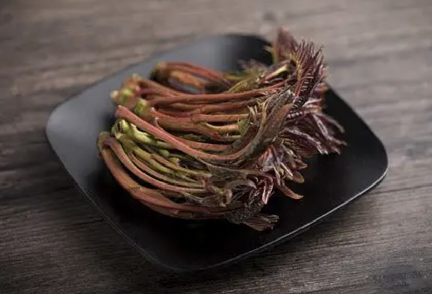 Toona Sinensis Extract Manufacturer