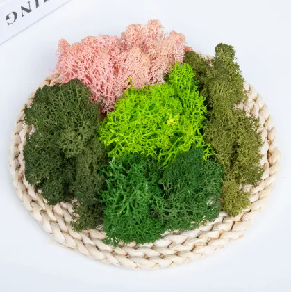 Green Moss Wall Art: Stabilized Icelandic Lichen for Interior Decoration