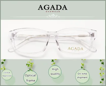 Demi Torture Color Acetate Optical Frames Eyewear