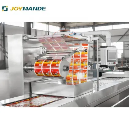 Automatic Mozzarella Cheese Packaging Machine - Vacuum Sealing for Slices and Sticks