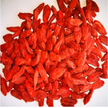 Export Ningxia Certified Dried goji berry/wolfberry