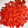 Venta caliente certificada Baya de Goji roja orgánica seca / wolfberry