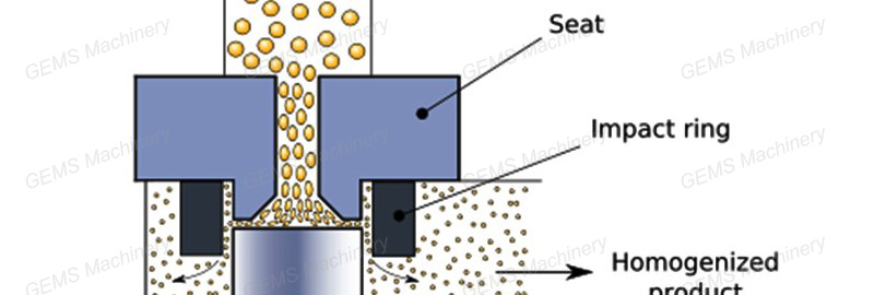 homogenizer4