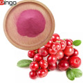 Bubuk cranberry bubuk ekstrak cranberry alami