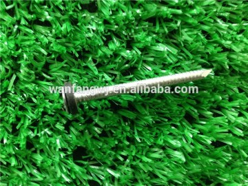 Roofing Nail With Neoprene Washer