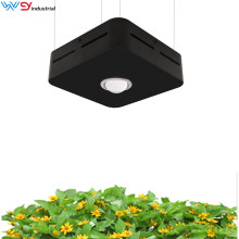 cob led grow journal 200w grow lights