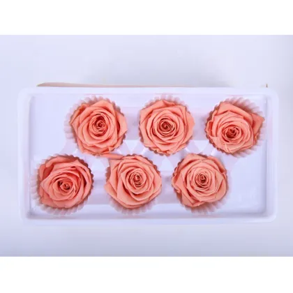 Wholesale Everlasting Rose Heads - Affordable Preserved Flowers