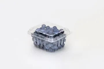 Fresh Grape Blueberry Clamshell