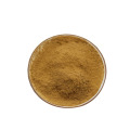 China Green Coffee Bean Extract Chlorogenic Acid 10%-50% Manufactory