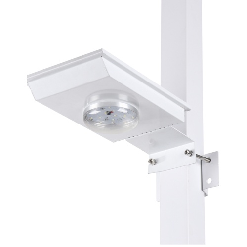 Waterproof Outdoor Solar-Powered Garden Lights