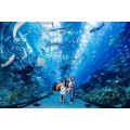 Luxury Large Customer Acrylic Aquarium Tunnel