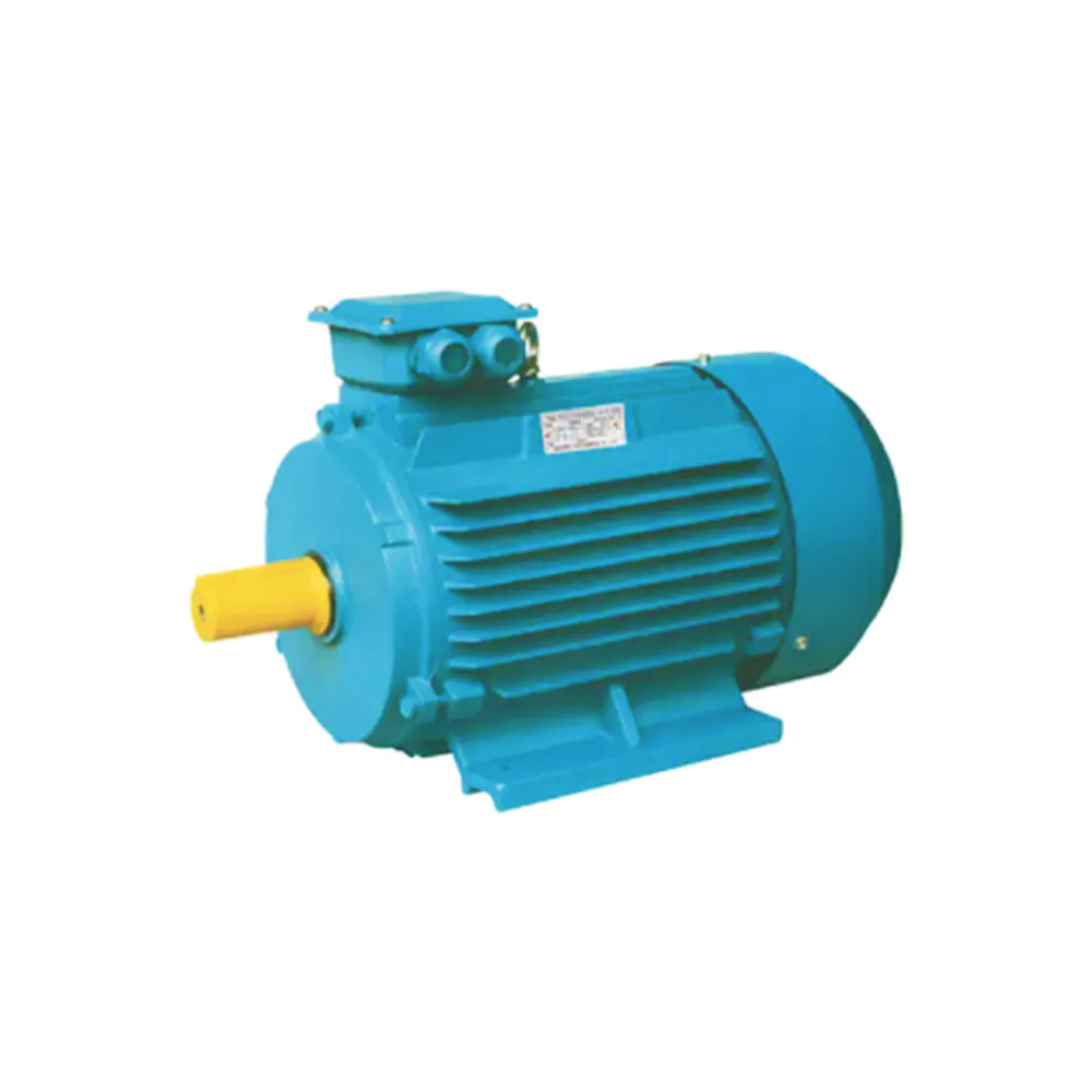 Permanent magnet synchronous motor03-y