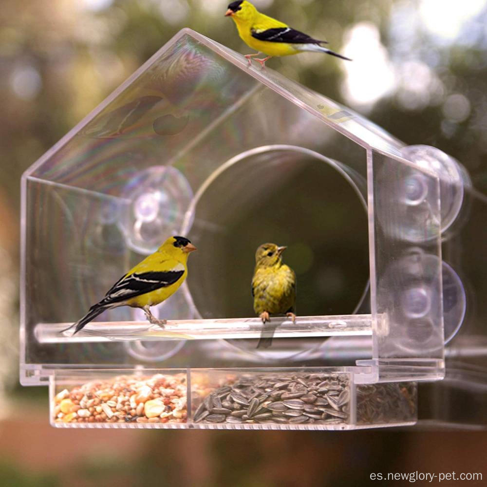 Fuertes tazas de succión ventana alimentador de la casa de pájaros