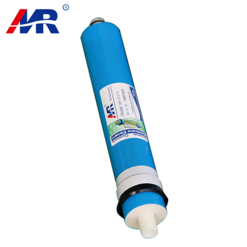 Hot housing reverse osmosis membranes