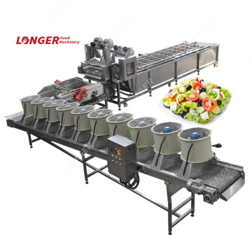 Vegetable Fruit Cleaning Cutting Line with Ozone System