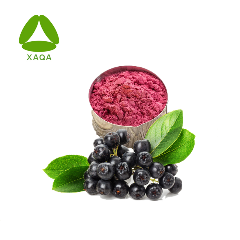 مادة مضادة للأشعة فوق البنفسجية Aronia Extract Proanthocyanidins 50 ٪ مسحوق