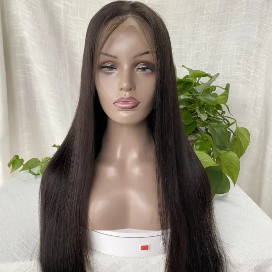 Lace front wig top quality wholesale cuticle aligned silky straight ponytail brazilian wigs virgin human hair wigs