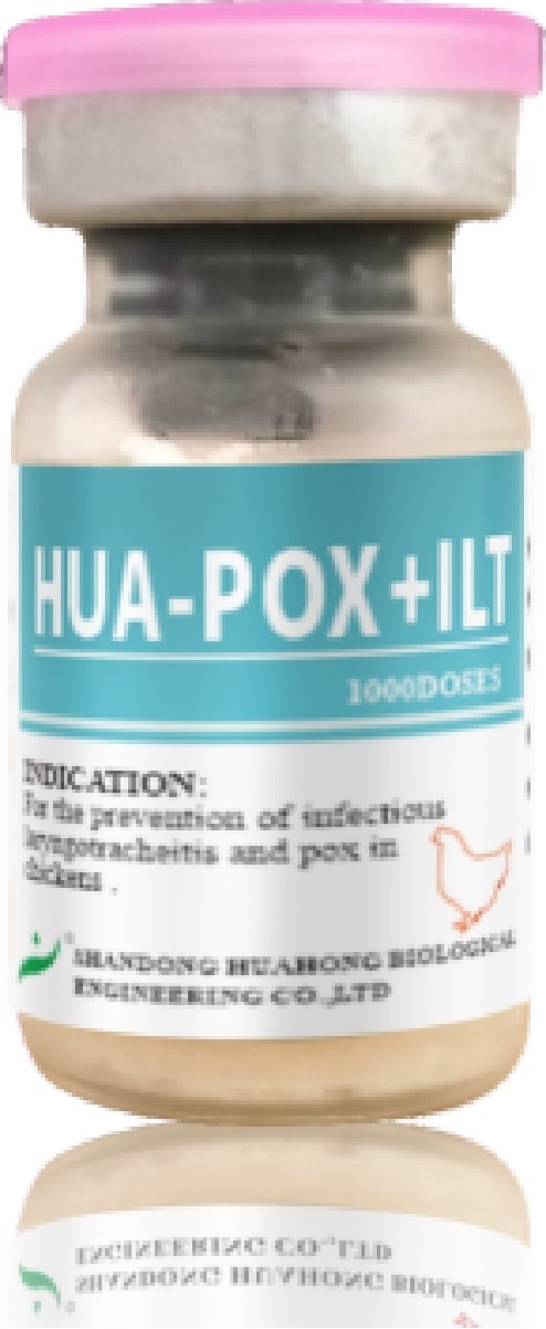 HUA-POX+ILT HUA-POX+ILT