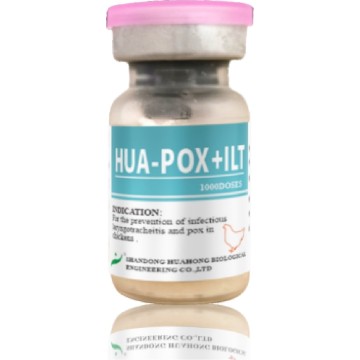 Vaccin împotriva variolei păsărilor + laringotraheită, viu