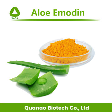 Natural Plant Aloe Vera Extract Emodin 98% Powder