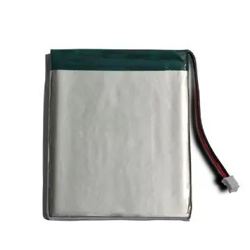 Li-polymer battery for portable DVD