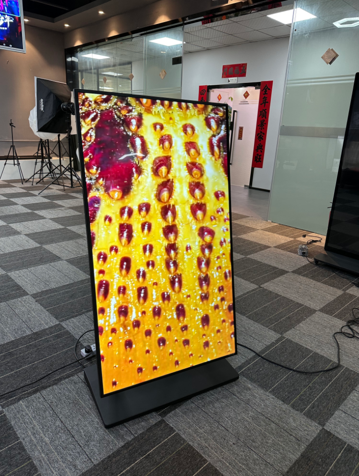 Double sided display system product image