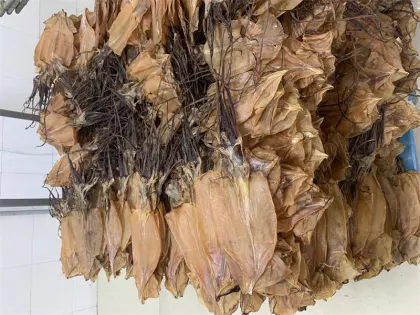 Seafood Wild dried squid