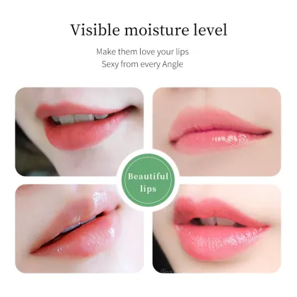 LUOFISS Vaseline Protective Moisturizing Lip Balm 2.7g