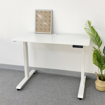 Dual Motor Adjustable Standing Desk Workstation