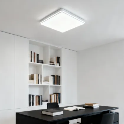 Smart Remote Control Ceiling Light