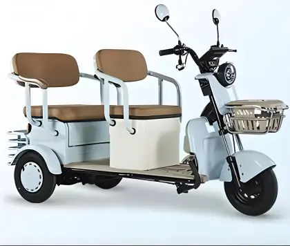 Household commuting electric tricycle