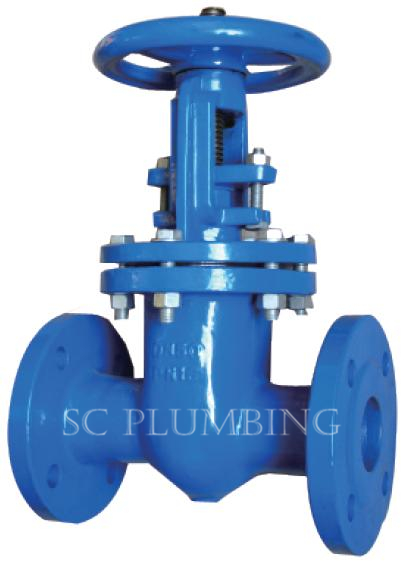 Metal Seated Gate Valve DIN 3202 F5 (RS, Flange end)