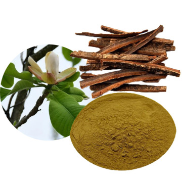 Magnolia Officinalis Extract Powder