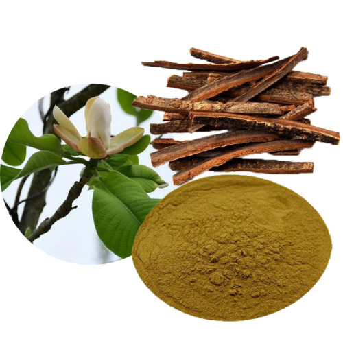 Magnolia Officinalis Extract Powder