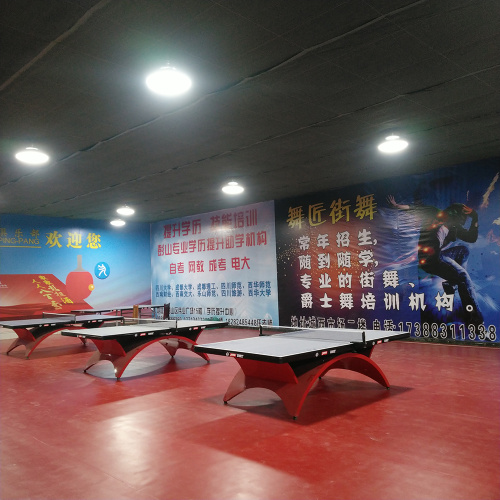Sport Floor Table Tennis Court
